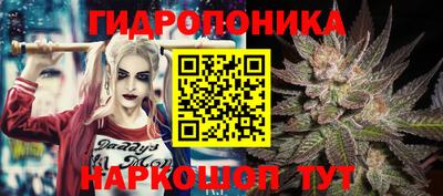 молекула духа Малоярославец