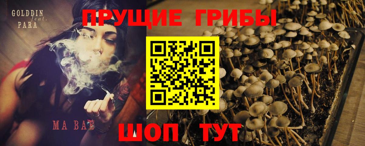 Галлюциногенные грибы Magic Shrooms Шали